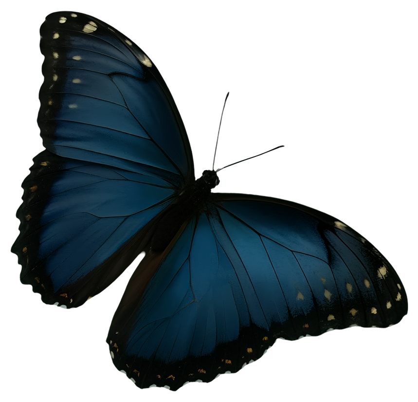 Mariposa Morpho Azul